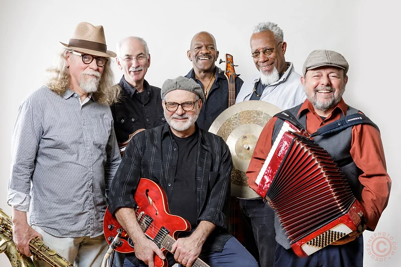 The Squeezebox Stompers photo